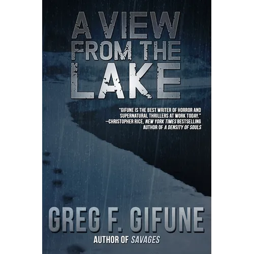 A View From the Lake - Paperback