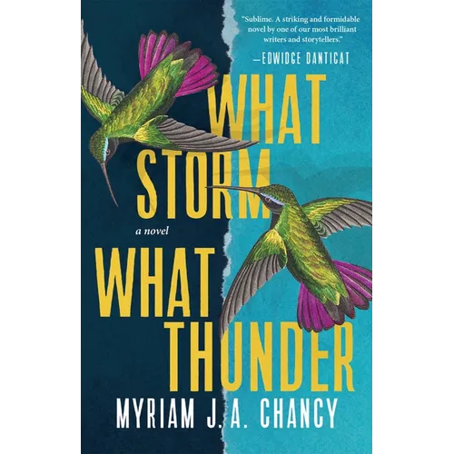 What Storm, What Thunder - Hardcover