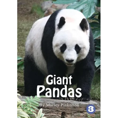 Pandas - Paperback