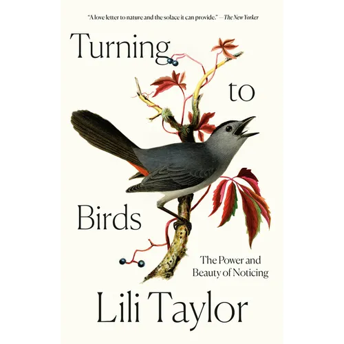 Turning to Birds: The Power and Beauty of Noticing - Paperback