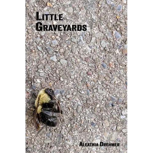 Little Graveyards - Paperback
