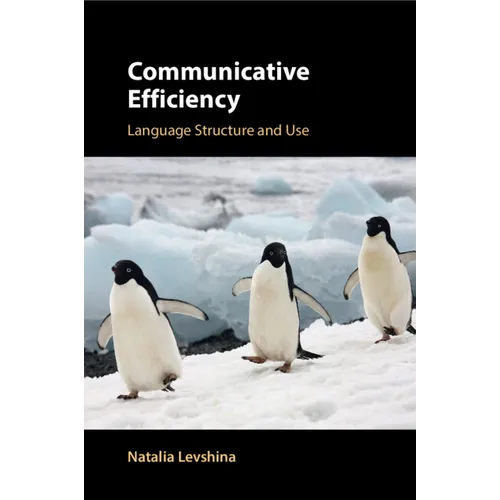 Communicative Efficiency - Paperback