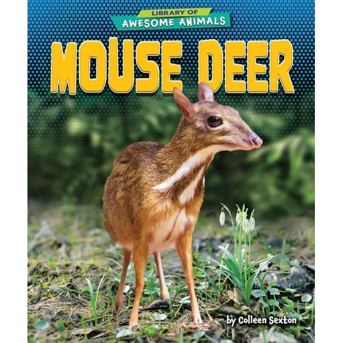 Mouse Deer - Paperback