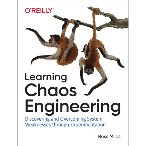Learning Chaos Engineering: Discovering and Overcoming System Weaknesses Through Experimentation - Paperback