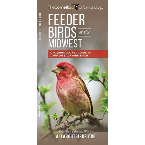 Feeder Birds of the Midwest: A Folding Pocket Guide to Common Backyard Birds - Paperback