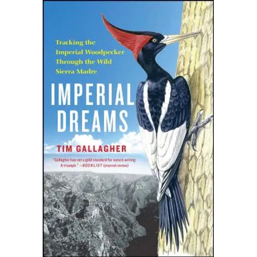 Imperial Dreams: Tracking the Imperial Woodpecker Through the Wild - Paperback