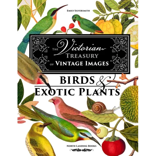 The Victorian Treasury of Vintage Images - Birds and Exotic Plants - Paperback