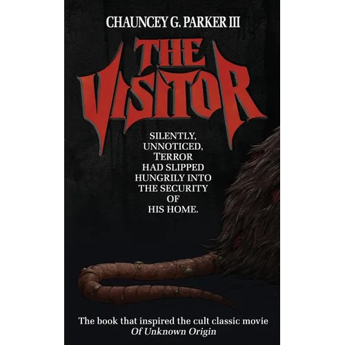The Visitor - Paperback