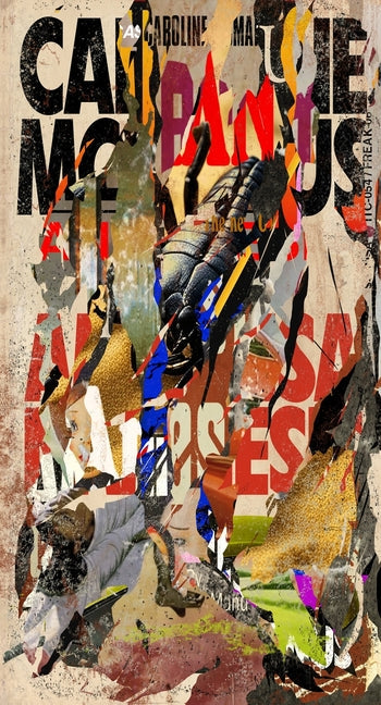 Anamnesis - Paperback