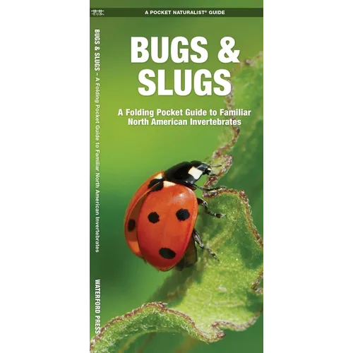Bugs & Slugs, 2nd Ed: A Folding Pocket Guide to Familiar North American Invertebrates
