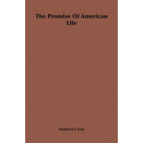 The Promise Of American Life