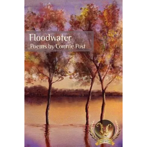 Floodwater