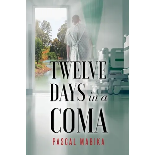 Twelve Days in a Coma From the Jordan River to His Bedside - Paperback