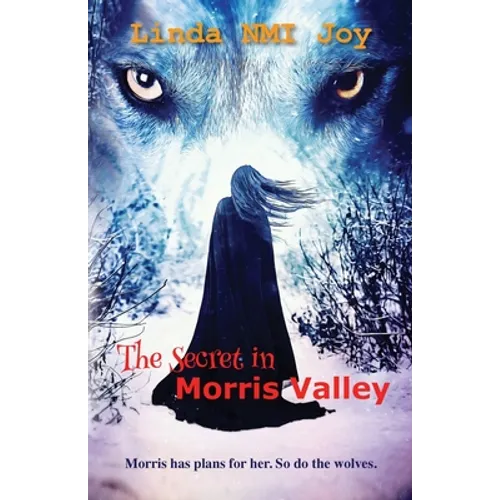 The Secret in Morris Valley - Paperback