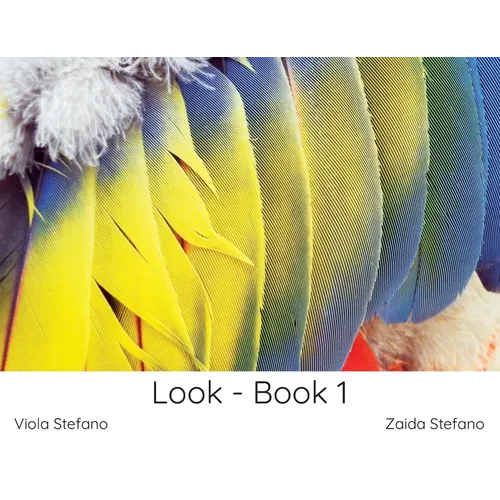 Look - Book 1 - Paperback