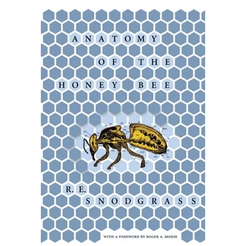 Anatomy of the Honey Bee