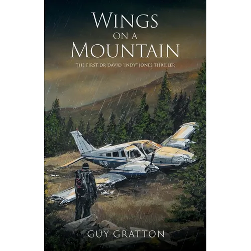 Wings on a Mountain: The first Dr David 