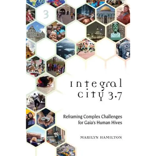 Integral City 3.7: Reframing Complex Challenges for Gaia's Human Hives - Paperback