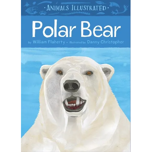 Animals Illustrated: Polar Bear - Hardcover