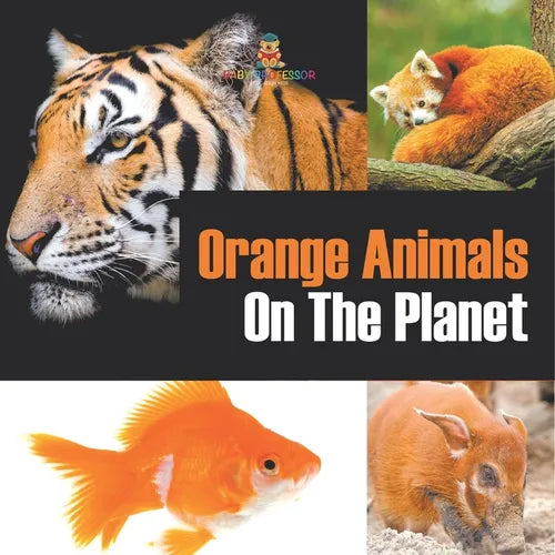 Orange Animals On The Planet - Paperback