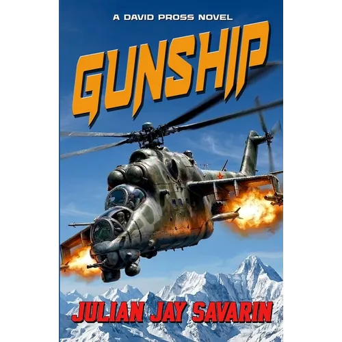 Gunship: A David Pross Technothriller - Paperback