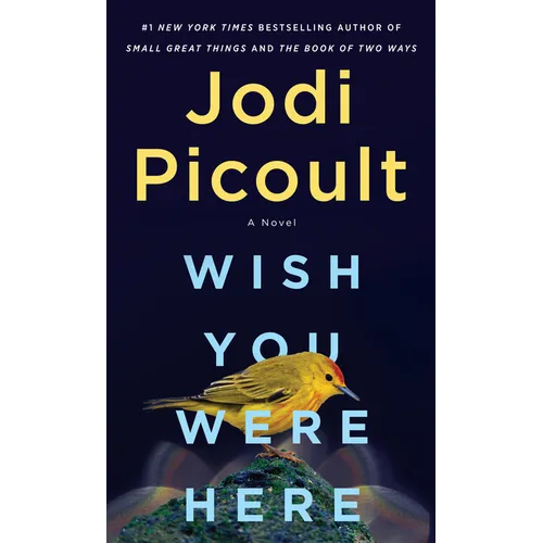Wish You Were Here - Paperback
