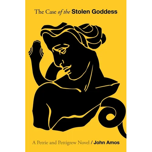 The Case of the Stolen Goddess - Paperback