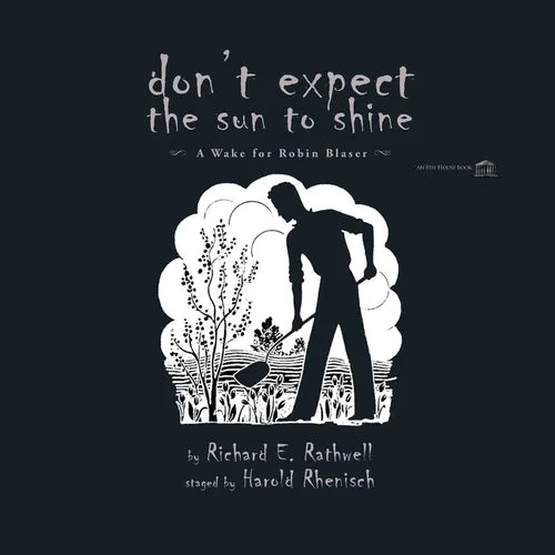 Don't Expect the Sun to Shine - Paperback