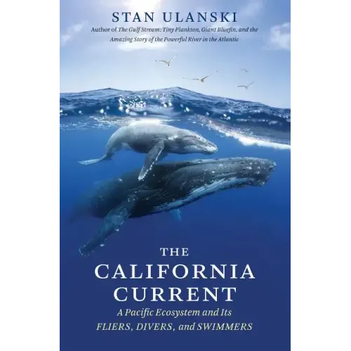 The California Current: A Pacific Ecosystem and Its Fliers, Divers, and Swimmers - Paperback