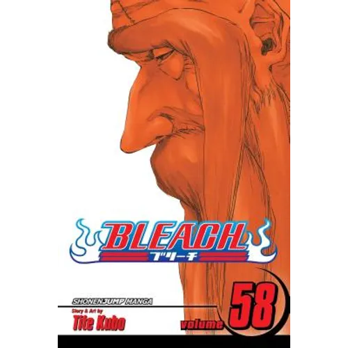 Bleach, Vol. 58: The Fire - Paperback