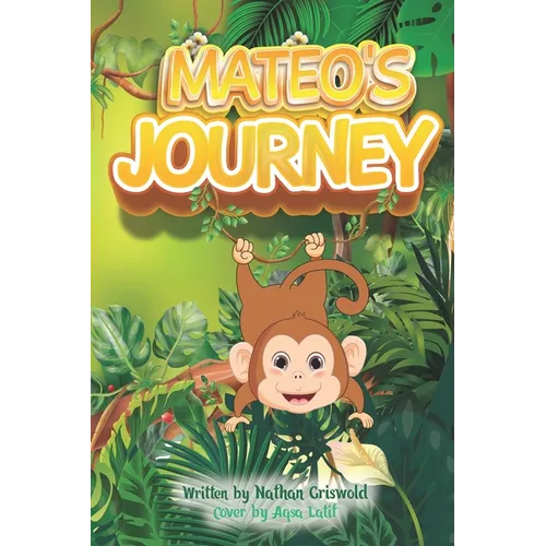 Mateo's Journey - Paperback