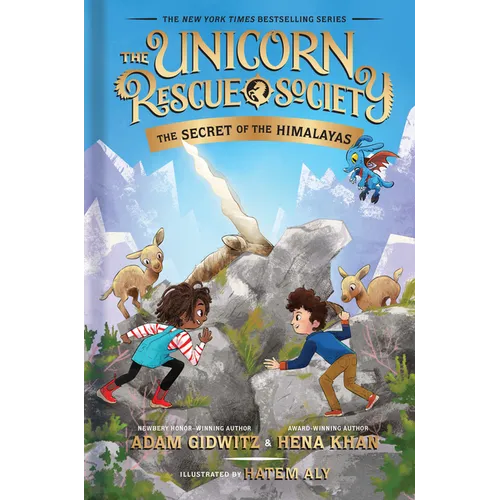 The Secret of the Himalayas - Hardcover