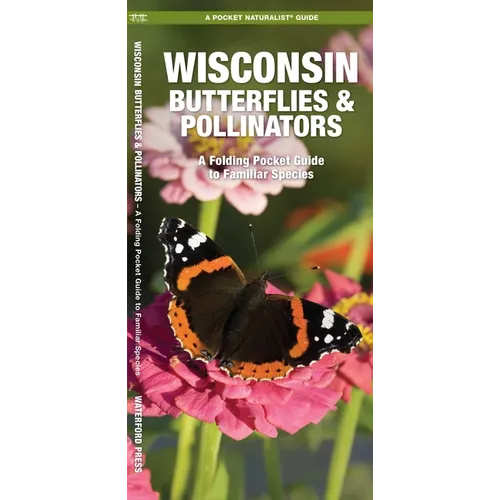 Wisconsin Butterflies & Pollinators: A Folding Pocket Guide to Familiar Species