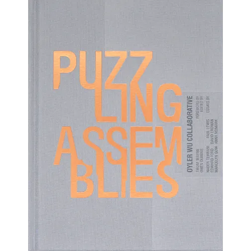Puzzling Assemblies