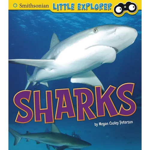 Sharks - Paperback