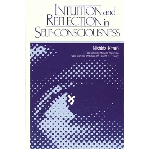 Intuition and Reflection in Self-Consciousness - Paperback