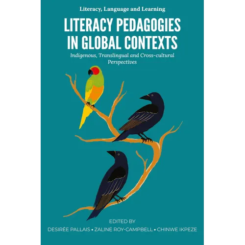 Literacy Pedagogies in Global Contexts: Indigenous, Translingual and Cross-Cultural Perspectives - Paperback