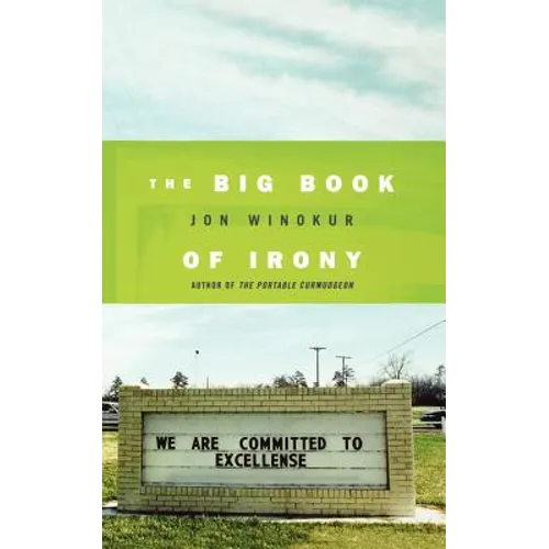 The Big Book of Irony - Paperback