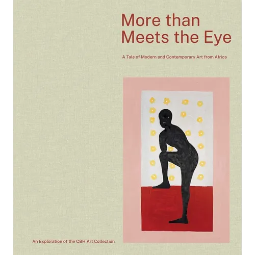 More Than Meets the Eye: A Tale of Modern and Contemporary Art of Africa - Hardcover