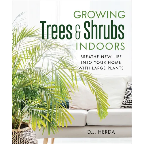 Growing Trees and Shrubs Indoors: Breathe New Life Into Your Home with Large Plants