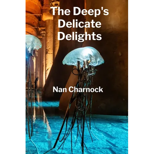 The Deep's Delicate Delights: Ocean Floor Petrology, Mapping Sub-Sea Structures and Hydrothermal Processes - Paperback