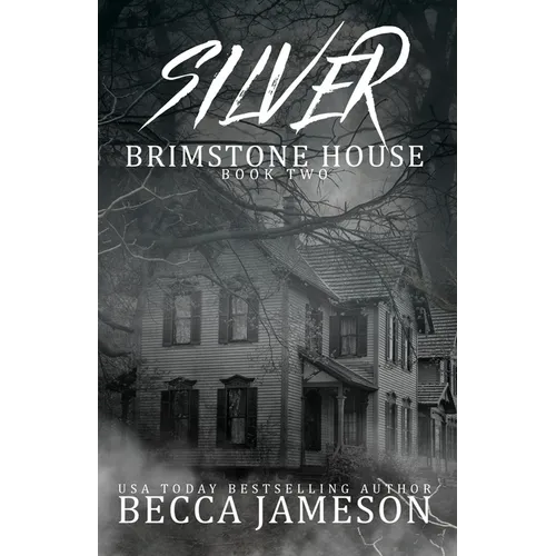 Silver - Paperback