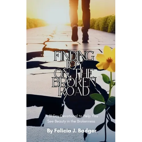 Finding Joy on the Broken Road - Paperback