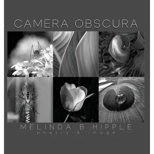 Camera Obscura - Hardcover