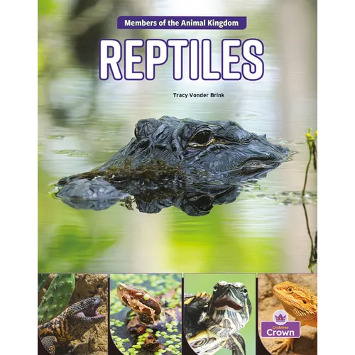 Reptiles - Paperback