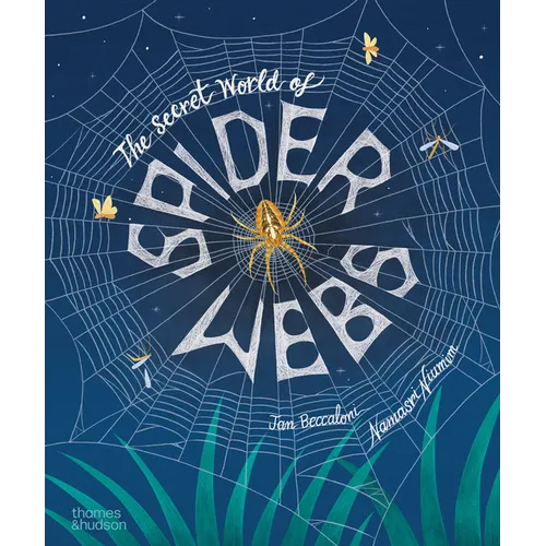 The Secret World of Spiderwebs - Hardcover