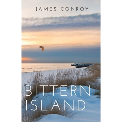 Bittern Island - Paperback