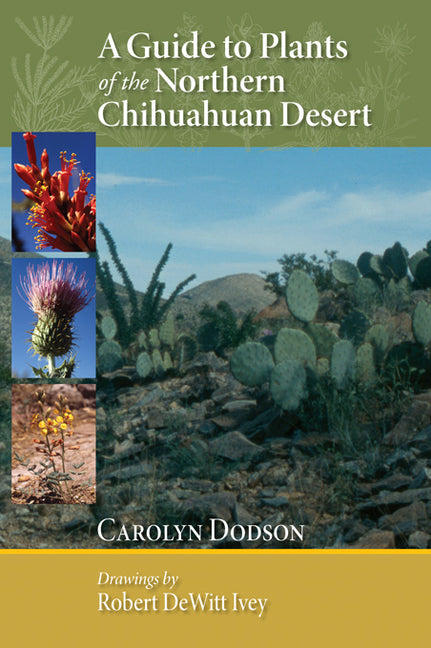 A Guide to Plants of the Northern Chihuahuan Desert - Paperback