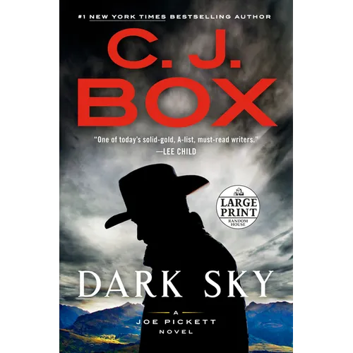 Dark Sky - Paperback