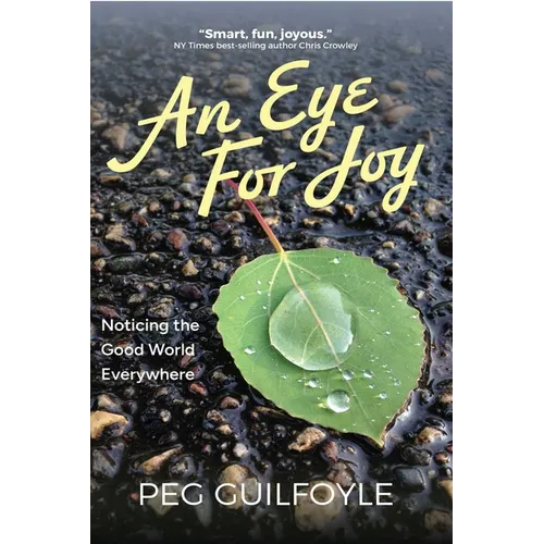 An Eye For Joy - Paperback